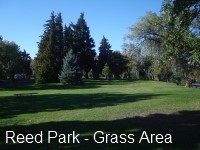 Reed Park - Grass Area - 02.jpg