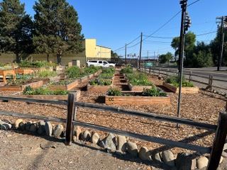 Community Garden at Wippel Park, showing raised garden beds and view looking north