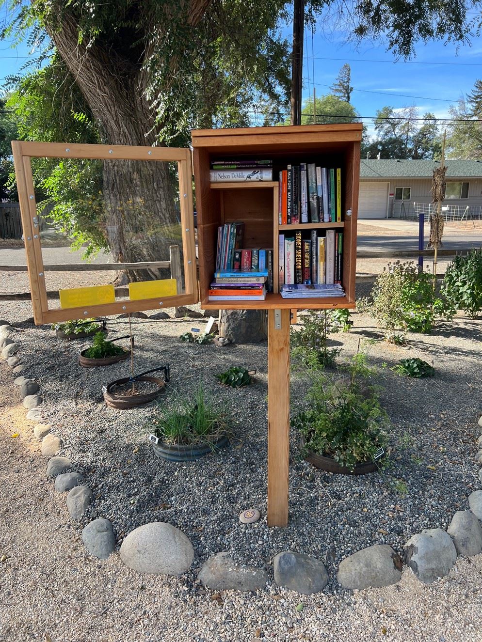 Little Free Library with the door open and books inside.
